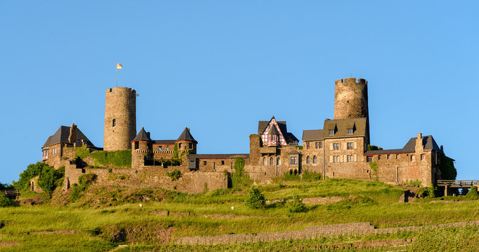 Outdoor color image of the impressive medieval castle / fortress Thurant on a hill on a sunny day, the rhineland-palatinate flag on a tower and vineyards