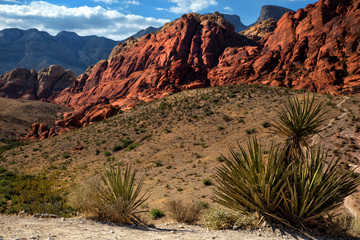 Fototapeta na wymiar Red Rock Canyon in United States