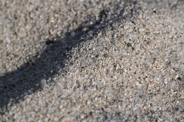 shining the sand