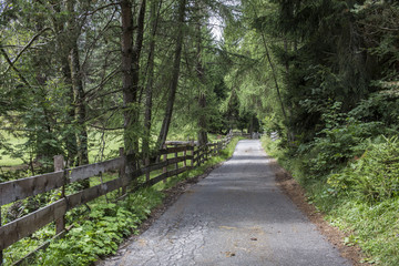 Feldweg in den bergen
