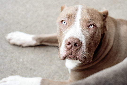 Bick Bilder Durchsuchen 631 Archivfotos, und Videos