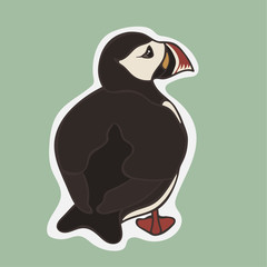 Puffin vector image isolated on white background. Cartoon Icelandic puffin. Cute Iceland bird. Puffin strolls, rear view Wildlife in minimal flat style. Black and white bird with multicolored beak.