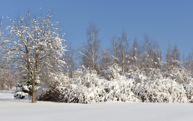 Snow-covered Moscow. Landscaped park after heavy snowfall. Russia