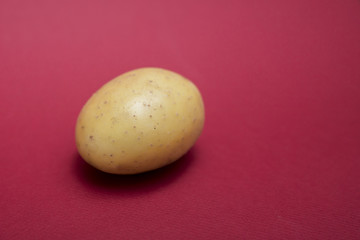 Single whole and raw potato isolated against a red background