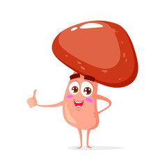 Funny and happy mushroom character in cartoon style. Vector illustration isolated on white background. Showing thumb up.