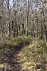 Hochmoor