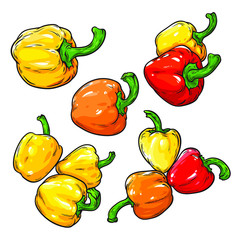 Set of Colored Yellow Orange and Red Sweet Bulgarian Bell Peppers in cartoon sketch style, vector illustration isolated on white background, line art style