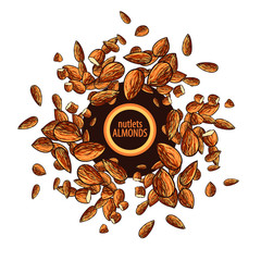 Vector nuts Almonds. Isolated on white background. Round set with text.