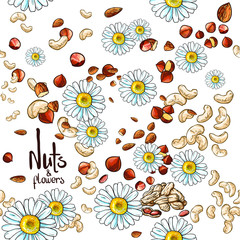 Vector repeating pattern with beautiful white flowers and different nuts. Isolated on white background.