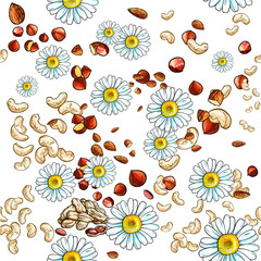 Vector beautiful pattern with many nuts and flowers. Chamomile. Repeat pattern. Isolated on white background. Can be used for some background or print.