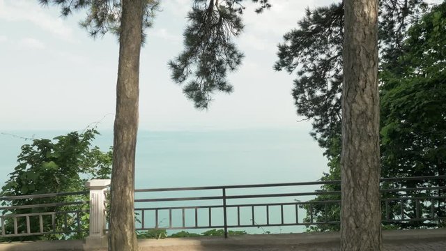 Black sea horizen at summer day in one of the biggest park - Batumi, Georgia
