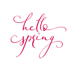 Fototapeta premium Calligraphy quote hello spring.