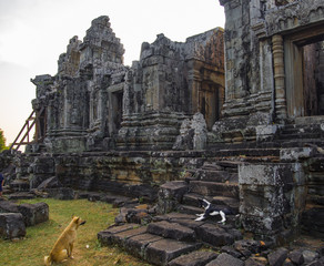 Fototapeta premium Phnom Bok Temple in Cambodia