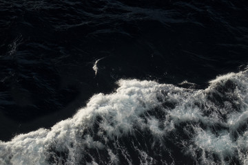 Fototapeta na wymiar Birdseye view of waves in the ocean
