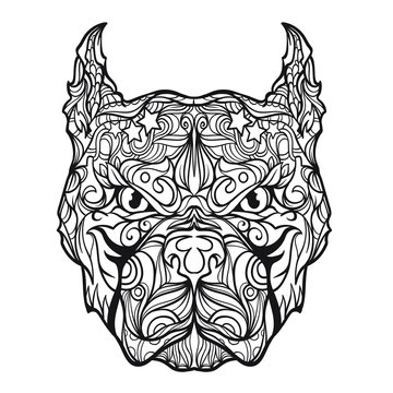 Ornament pitbull face in line art style, vector illustration isolated on white background, image for coloring book