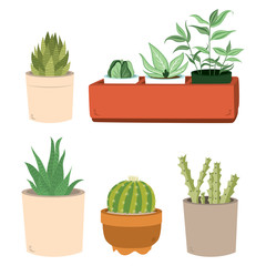 Set of illustrations of cactus and succulents in different ceramic pots