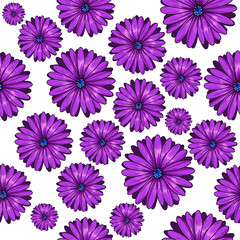 Repeat pattern of purple flowers. Vector illustration isolated on white background. Can be use for some print or background