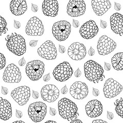 Vector pattern of raspberry. Isolated on white background. Line art style. Black and white version.