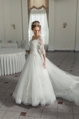 Obraz premium Beautiful bride in wedding dress 