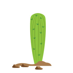 Cartoon cactus icon