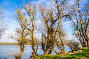 The Danube Riverbank