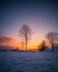 Calm Evening Photo with the Field and Forest with the Sunset in the Background