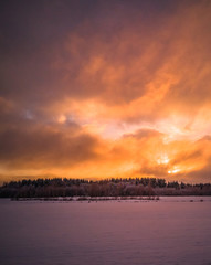 Calm Evening Photo with the Field and Forest with the Sunset in the Background