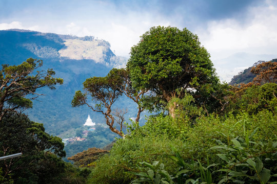 Beautiful view from the way of Adams Peak to the valley, Sri Lanka