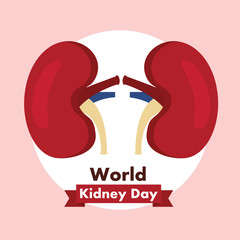 world kidney day healthcare medical campaign poster vector illustration