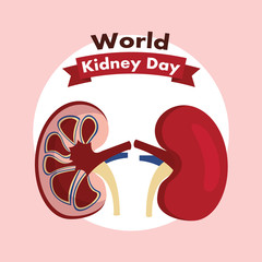 world kidney day healthcare medical campaign poster vector illustration