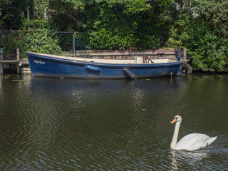 Obraz premium Boat and swan in water