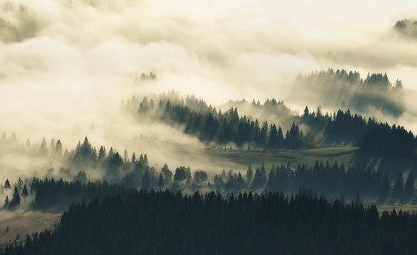 silhouettes of mountains. autumn morning in the Carpathian mountains. foggy dawn © sergnester