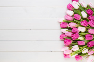 Obraz premium Różowy tulipan na białym tle. Wielkanocny tło.