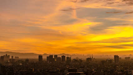 Glorious Yellow Afternoon
