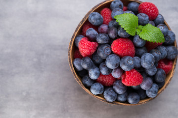Juicy and fresh blueberries with green mint on rustic gray table.