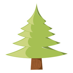 pine tree icon