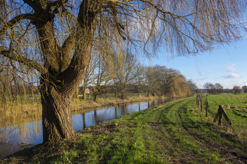 Die Dinkel bei Nienborg
