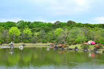 新緑の日本庭園