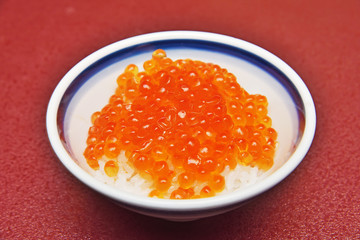 Salmon roe with rice, Japanese food     