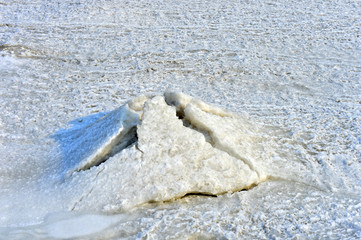On winter sea ice