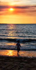 the bay of darwin  in the sunrise and  silhouette