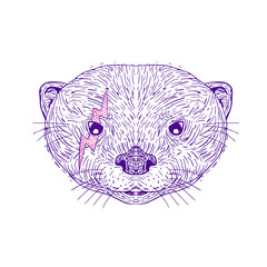 Otter Head Lightning Bolt Drawing