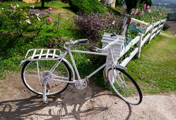 Fototapeta na wymiar Broken Retro Bicycle was parked in the garden for decoration, Decorate in Thailand