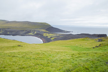 Fototapeta na wymiar ヘイマエイ島南部の風景