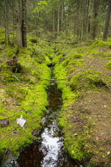 Nuuksio National Park