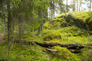 Nuuksio National Park