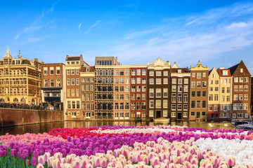 Naklejka premium Amsterdam city skyline at canal waterfront with spring tulip flower, Amsterdam, Netherlands