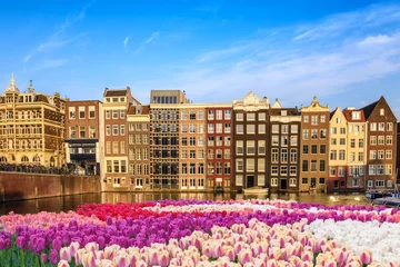 Poster Amsterdam city skyline at canal waterfront with spring tulip flower, Amsterdam, Netherlands © Noppasinw