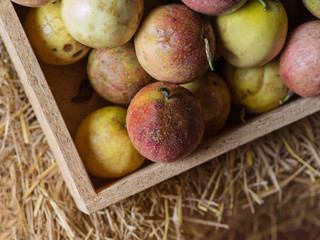Sweet red, yellow and orange color fruits, guava and apple in wooden basket and straw sell at organic market in rural country for fresh, vitamin and healthy