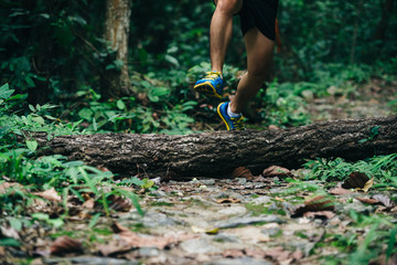 Athletic runner jumping cross tree trunk on tropical forest trail